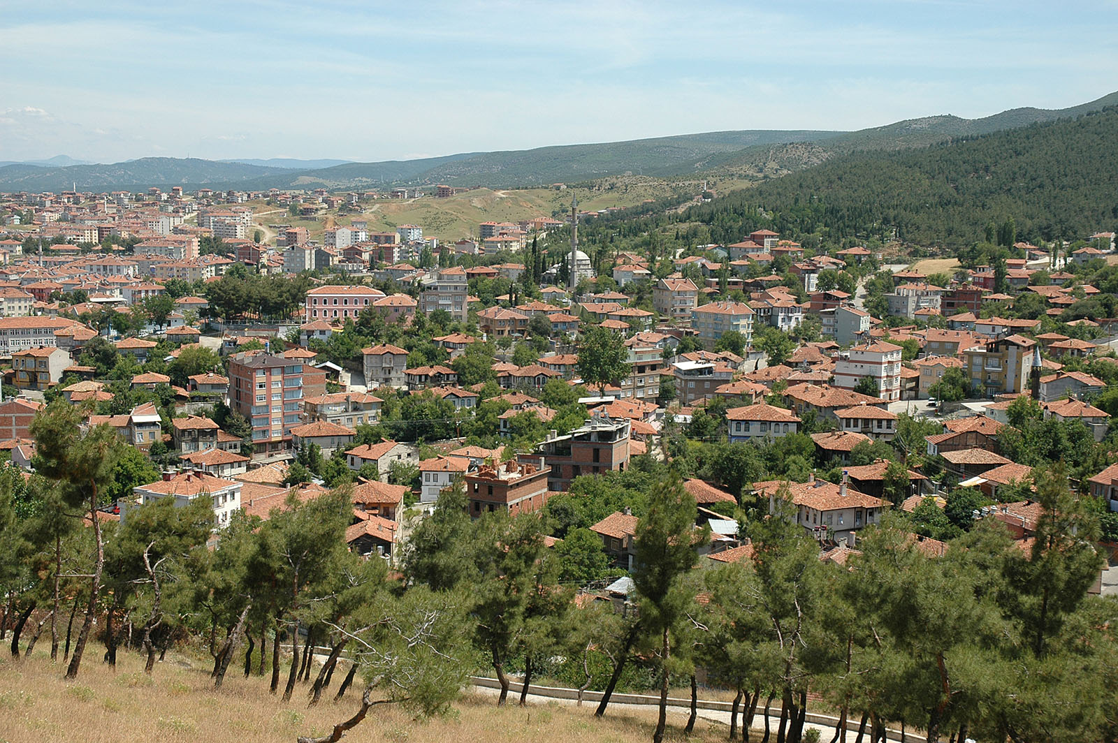 Sinop Boyabat’ta Yapı Malzemelerinde Güvenin Adı: Hasan Bilgin Yapı Malzemeleri