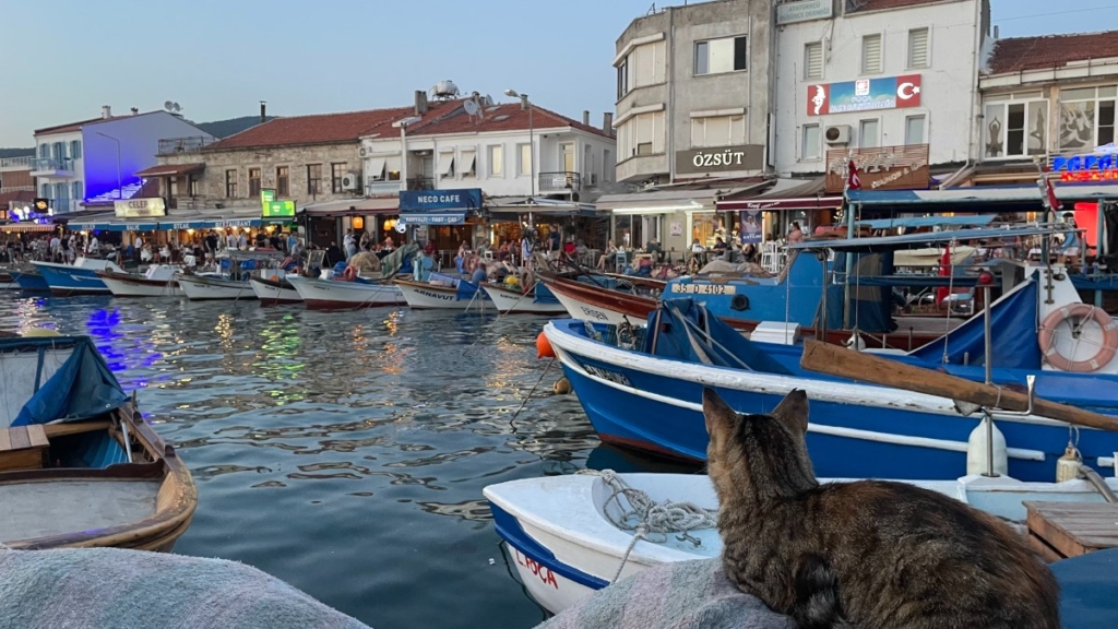 İzmir Foça Yapı Malzemeleri Satışı – Hasan Bilgin Yapı Malzemeleri Güvencesiyle